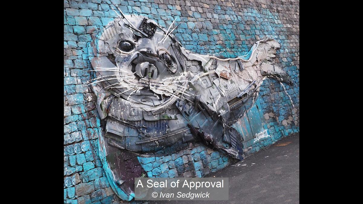 15_A Seal of Approval_Ivan Sedgwick